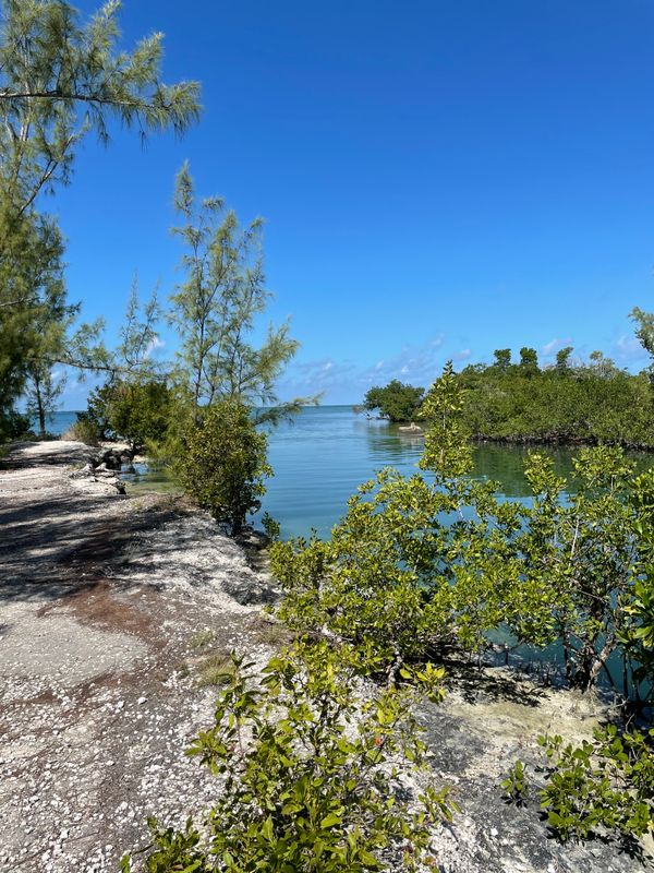 The Tarpon Belly Keys